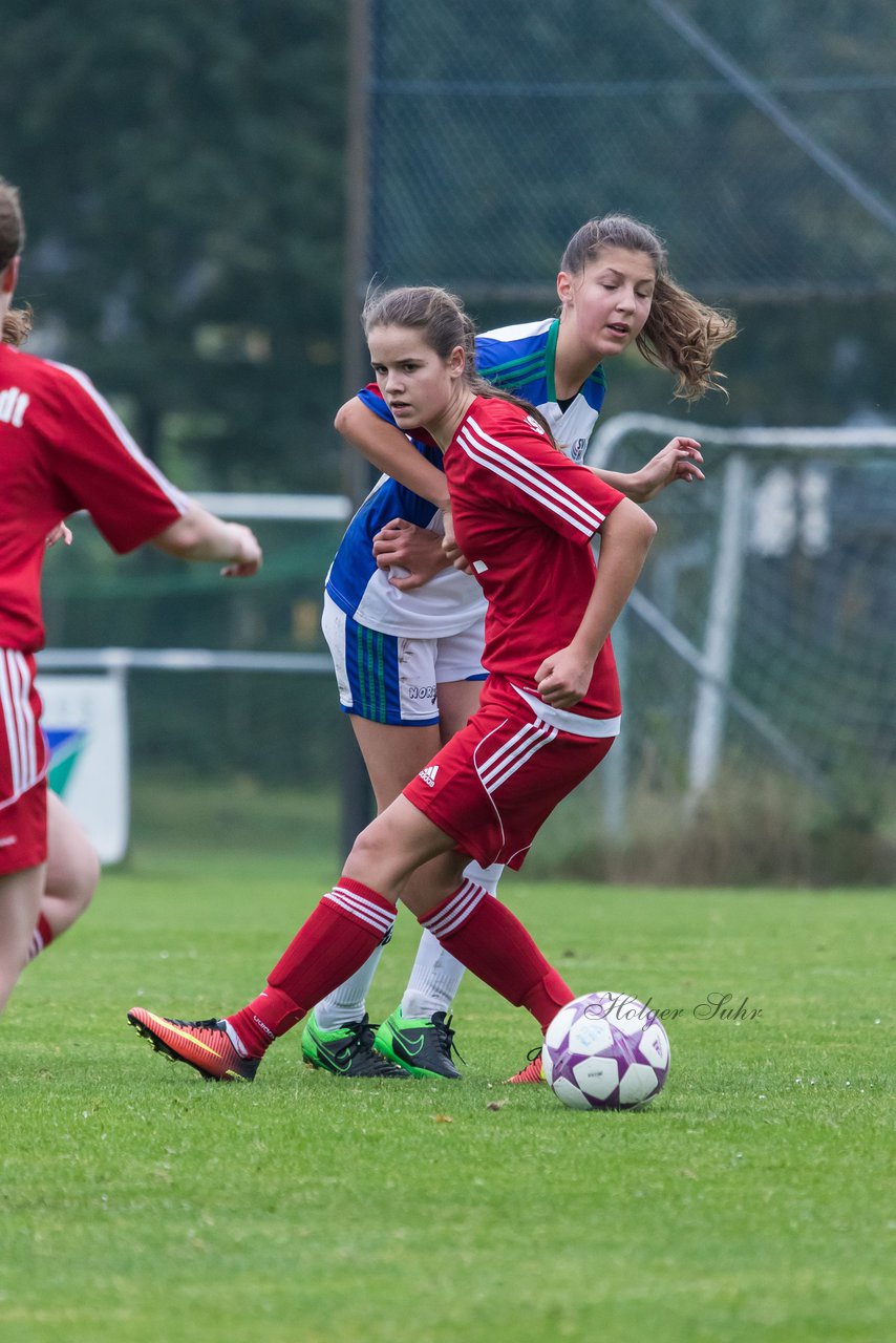 Bild 396 - B-Juniorinnen SV Henstedt Ulzburg - SV Wahlstedt : Ergebnis: 11:0